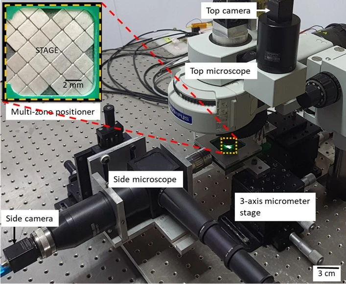 Cross-shaped diamagnetically levitated positioning stage